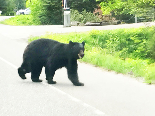 Juneau Private Highlights Sightseeing Excursion