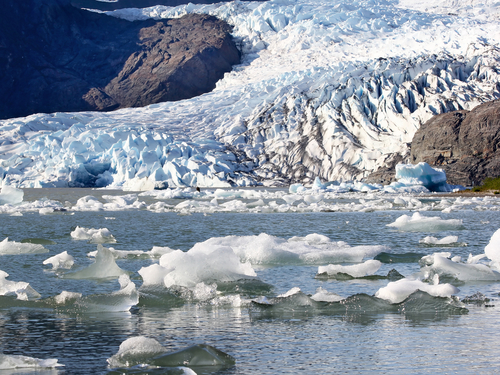 Juneau glacier rafting Sightseeing Cruise Excursion Cost