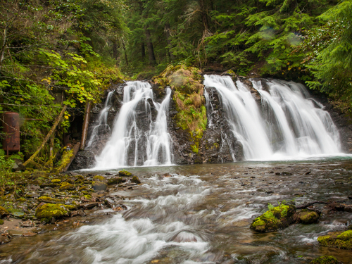 Juneau gold creek Shore Excursion Reviews