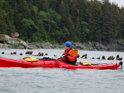 Juneau State Marine Park Kayak Trip Prices