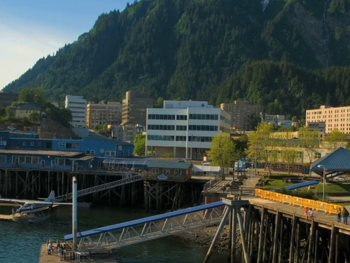 Juneau whale watching Cruise Excursion Tickets