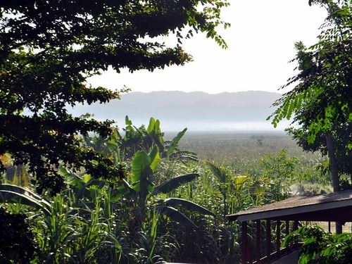 Ocho Rios zipline and falls Shore Excursion Booking