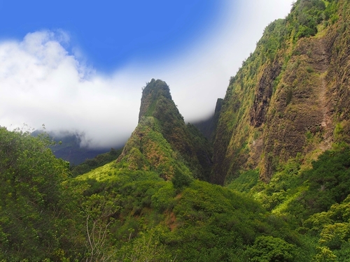 Maui (Kahului) Maui Tropical Plantation Excursion Prices