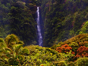 Kahului Maui to Heavenly Hana Excursion