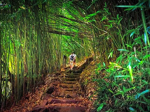 Kahului Road to Hana Sightseeing Excursion