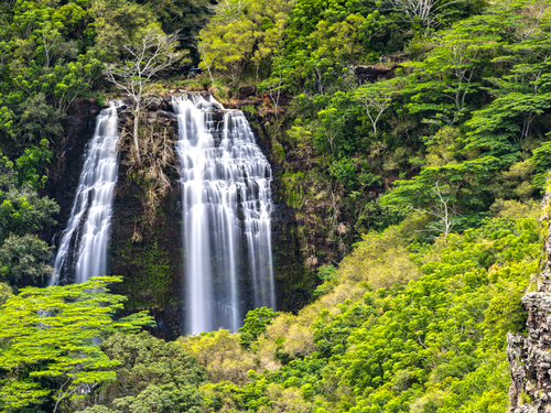 Kauai (Nawiliwili) Hawaii / USA waterfall Trip Tickets