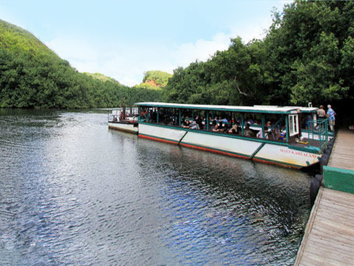 Kauai (Nawiliwili)  Shore Excursion Reservations