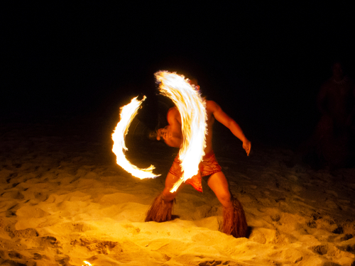 Kauai (Nawiliwili) traditional Cruise Excursion Cost
