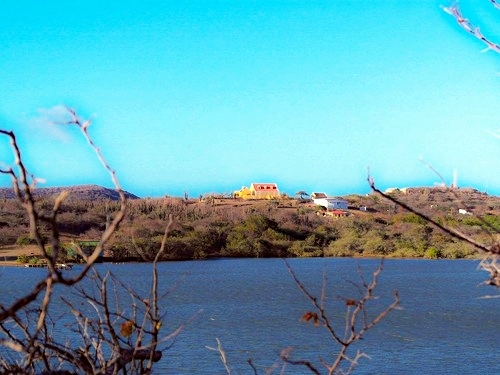 Curacao Willemstad kenepa beach Shore Excursion Booking