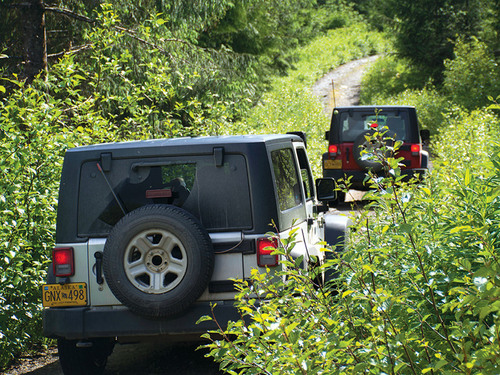 Ketchikan Alaska rugged Reservations Jeep Excursion