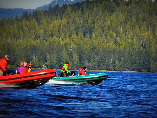Ketchikan Alaska wildlife Zodiac Tour Booking