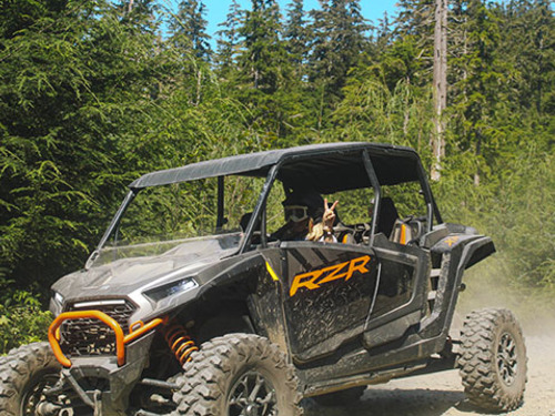 Ketchikan Alaska buggy Shore Excursion Reservations