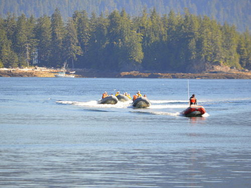 Ketchikan Alaska eco zodiac Trip Booking