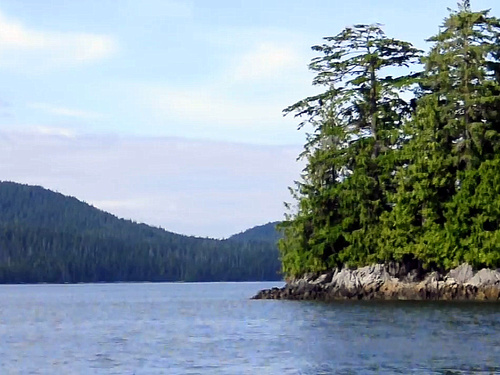 Ketchikan guided kayaking Tour Tickets