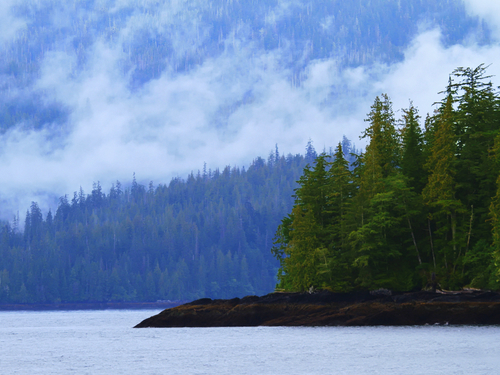 Ketchikan Alaska marine life zodiac Excursion Cost