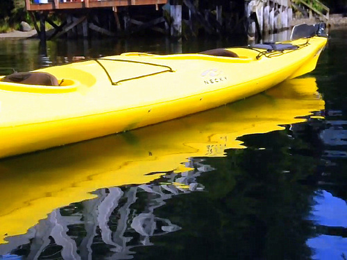 Ketchikan Eagle sightseeing kayaking Tour Cost