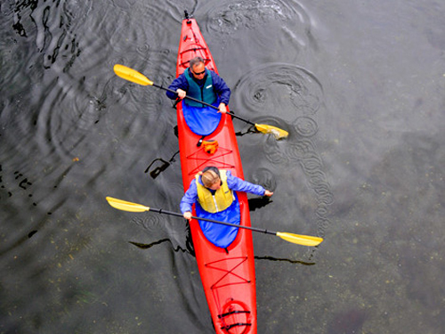 Ketchikan Alaska Eagle island kayaking Cruise Excursion Booking