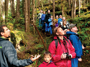 Ketchikan Rainforest Island Adventure Excursion