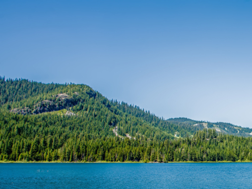 Ketchikan rib boat Eco Cruise Excursion Cost