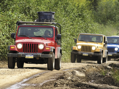 Ketchikan wildlife Prices Jeep Excursion
