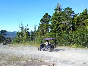 Ketchikan Silent Off Road Buggy Rainforest Family Adventure Excursion