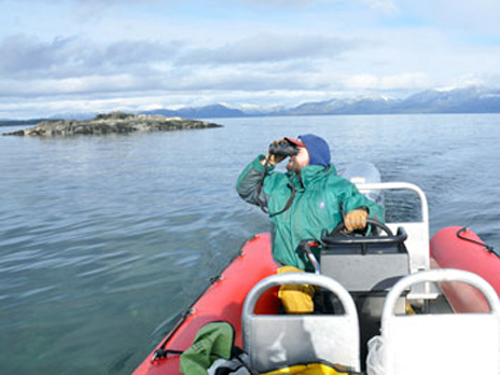 Ketchikan Alaska wildlife Zodiac Tour Cost