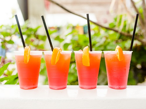 Key West Food Cruise Excursion Booking