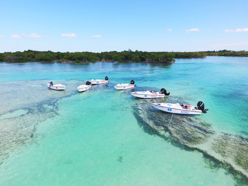 Key West Eco Adventure Excursion Reservations