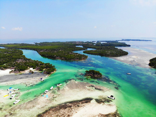 Key West Safari Tour Reviews