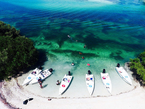 Key West Safari Cruise Excursion Booking