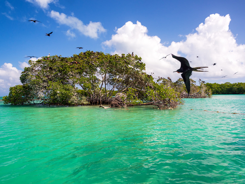 Key West sail boat Trip Booking