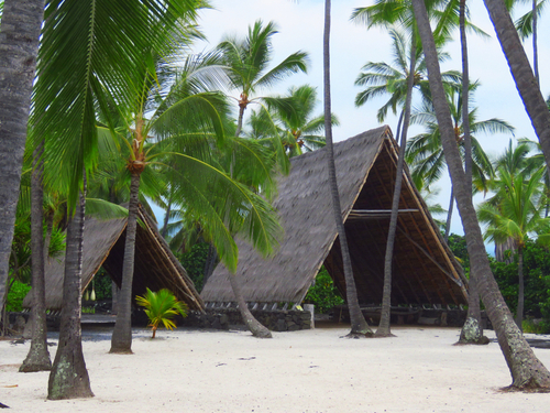 Kona (Kailua) Polynesian Trip Reviews