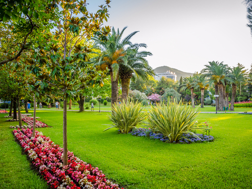 Kotor Sveti Stefan Sightseeing Shore Excursion Prices