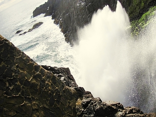 Ensenada La Bufadora Trip Booking