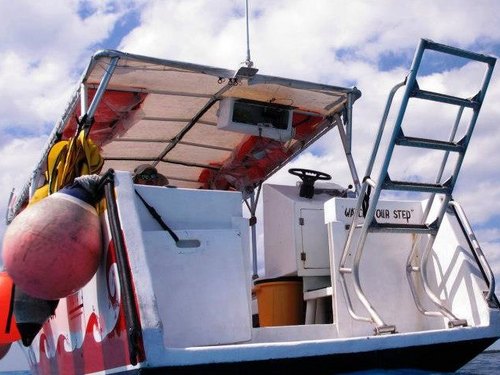 Cozumel snorkeling Cruise Excursion