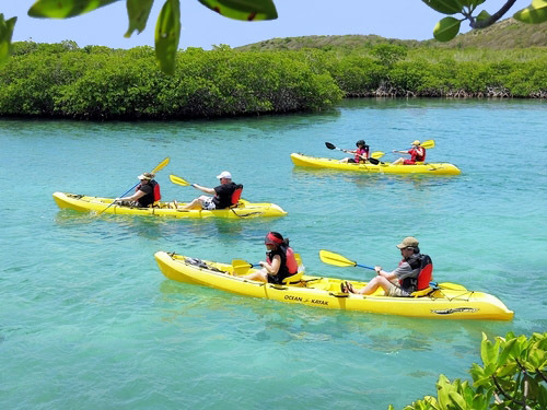 St. Thomas mangrove kayak Excursion Prices