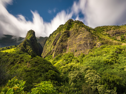 Lahaina - Maui Iao Valley National Park Tour Cost