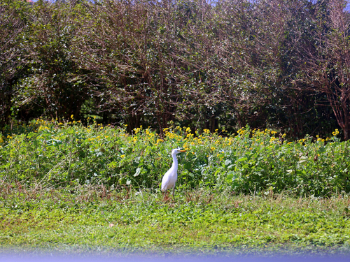 Lahaina - Maui  Hawaii / USA Maui Ocean Center Tour Reservations
