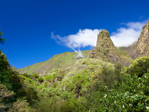 Lahaina - Maui Iao Valley National Park Trip Reservations