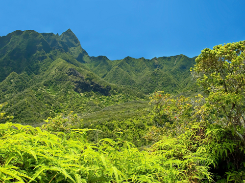 Lahaina - Maui Maui Tropical Plantation Shore Excursion Prices