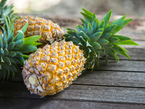 Lahaina - Maui Maui Ocean Center Shore Excursion Prices