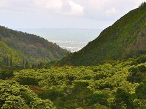 Lahaina - Maui  Hawaii / USA Maui Tropical Plantation Trip Tickets