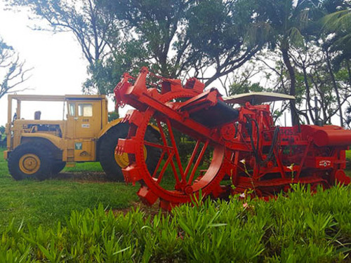 Lahaina Classic Maui Sightseeing Excursion