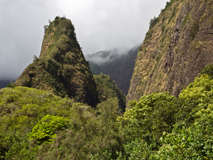 Lahaina Maui Iao Valley and Maui Tropical Plantation Excursion