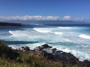 Lahaina Maui Private Full Day Up Country Deluxe Sightseeing Adventure Excursion