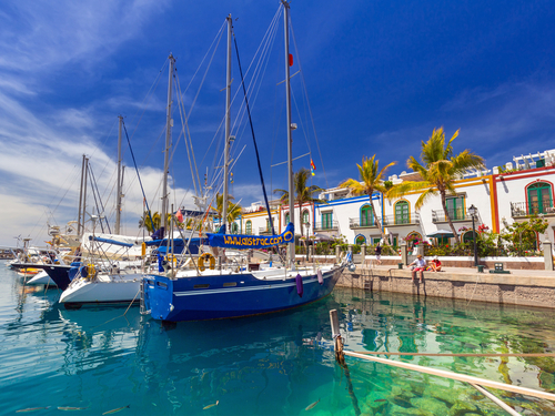 Las Palmas Ravine Guided Tour Reviews