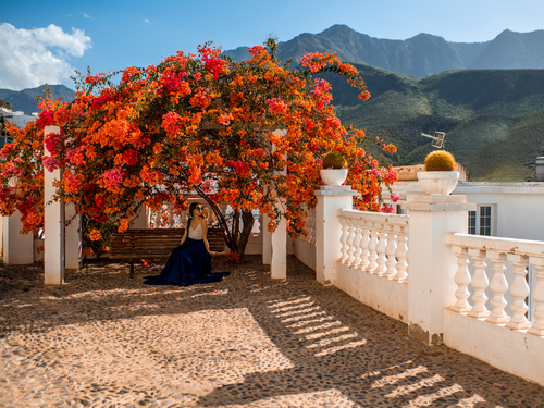 Las Palmas  Gran Canaria coffee tasting sightseeing Tour Prices