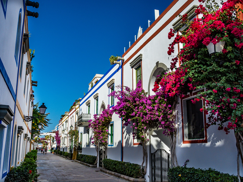 Las Palmas  Gran Canaria Guayadeque caves Guided Shore Excursion Cost