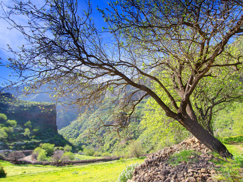 Las Palmas  Gran Canaria Maspalomas Dunes Guided Excursion Cost