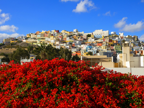 Las Palmas  Gran Canaria Playa de las Canteras Bus Cruise Excursion Booking